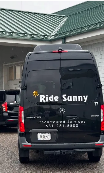 Professional chauffeur